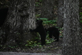 album/06162026/DSC_0267.JPG