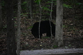 album/06162026/DSC_0269.JPG
