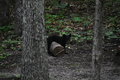 album/06162026/DSC_0270.JPG