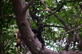 album/06162026/DSC_0279.JPG