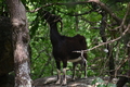 album/06162026/DSC_0282.JPG