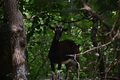 album/06162026/DSC_0284.JPG