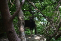 album/06162026/DSC_0297.JPG