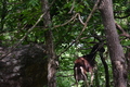 album/06162026/DSC_0302.JPG