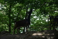 album/06162026/DSC_0315.JPG