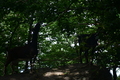 album/06162026/DSC_0316.JPG