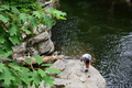 album/06162026/DSC_0334.JPG