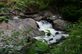 album/06162026/DSC_0350.JPG