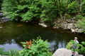 album/06162026/DSC_0353.JPG