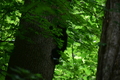 album/06162026/DSC_0359.JPG