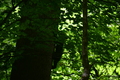 album/06162026/DSC_0362.JPG