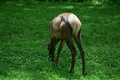 album/06162026/DSC_0379.JPG