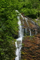 album/06162026/DSC_0383.JPG