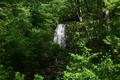 album/06162026/DSC_0403.JPG