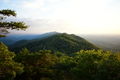 album/06162026/DSC_0416.JPG
