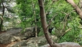 album/06162026/IMG20260616100951.jpg