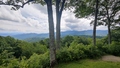album/06162026/IMG20260616162917.jpg