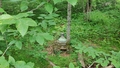 album/06172026/IMG20260617131752.jpg