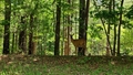 album/06172026/IMG20260617150208.jpg