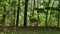 album/06172026/IMG20260617150210.jpg