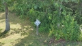 album/06172026/IMG20260617162323.jpg