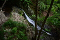 album/06182026/DSC_0451.JPG
