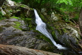 album/06182026/DSC_0466.JPG