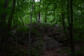 album/06182026/DSC_0468.JPG