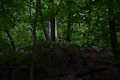 album/06182026/DSC_0470.JPG