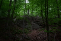 album/06182026/DSC_0471.JPG