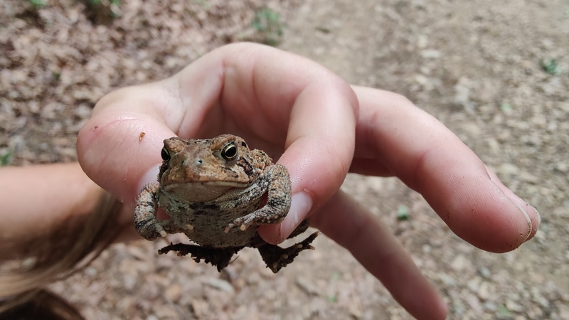 album/06182026/images/IMG20260618154532.jpg