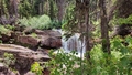 album/06192025/IMG20250619140557.jpg