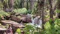 album/06192025/IMG20250619140603.jpg