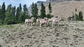 album/06192025/IMG20250619163528.jpg