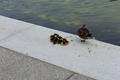 album/06192026/DSC_0489.JPG