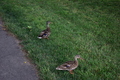 album/06192026/DSC_0506.JPG
