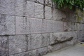 album/06192026/DSC_0535.JPG
