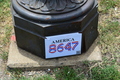 album/06192026/DSC_0558.JPG
