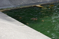 album/06192026/DSC_0563.JPG