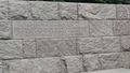 album/06192026/IMG20260619114850.jpg
