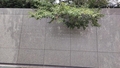 album/06192026/IMG20260619115742.jpg