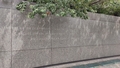 album/06192026/IMG20260619120141.jpg