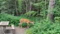 album/06202025/IMG20250620121707.jpg