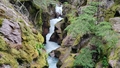 album/06202025/IMG20250620122939.jpg