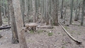 album/06202025/IMG20250620124921.jpg