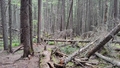 album/06202025/IMG20250620135100.jpg
