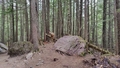 album/06202025/IMG20250620140326.jpg