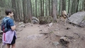 album/06202025/IMG20250620140333.jpg