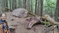 album/06202025/IMG20250620140340.jpg