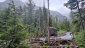 album/06202025/IMG20250620141156.jpg